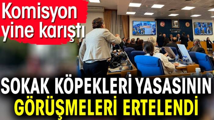 Sokak köpekleri düzenlemesinin görüşmeleri ertelendi. Komisyon yine karıştı