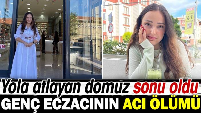 Yola atlayan domuz genç eczacının sonu oldu