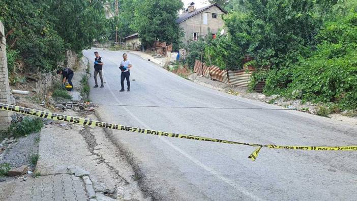 Cinnet geçiren şahıs babasını öldürdü