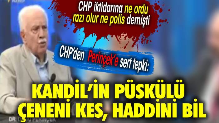 CHP'den Doğu Perinçek'in sözlerine sert tepki: Kandil'in püskülü! Haddini bil!