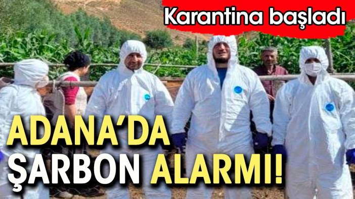 Adana'da şarbon alarmı. Karantina başladı