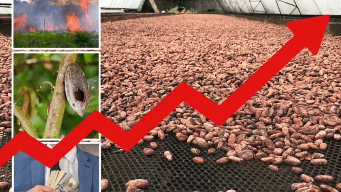 Kakao krizi büyüyor