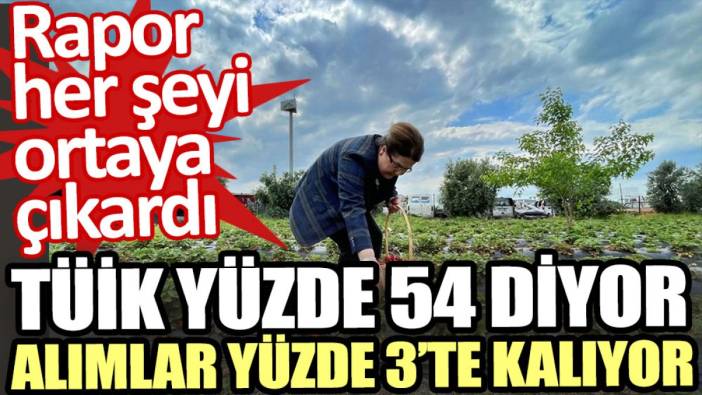 TÜİK yüzde 54 diyor, alımlar yüzde 3’te kalıyor. Rapor her şeyi ortaya çıkardı