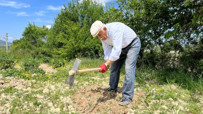 80 yaşında ama tarlada gençlere taş çıkartıyor