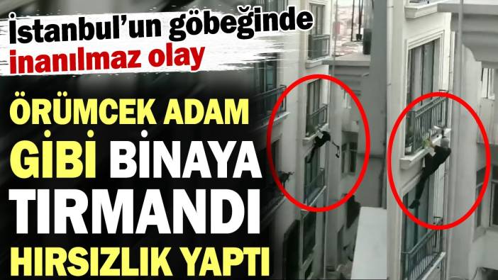Örümcek adam gibi binaya tırmandı hırsızlık yaptı! İstanbul'un göbeğinde inanılmaz olay