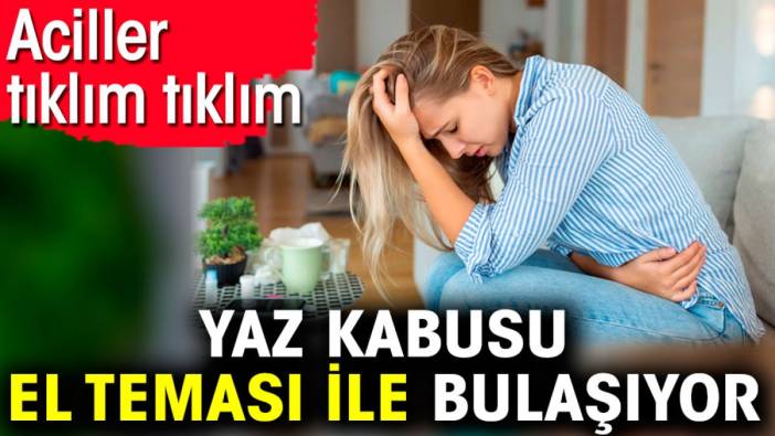 Yaz kabusu el teması ile bulaşıyor. Aciller tıklım tıklım