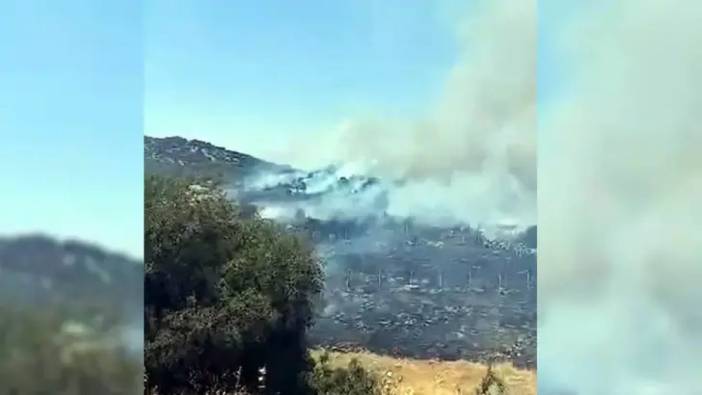 Kahramanmaraş’ta orman yangını