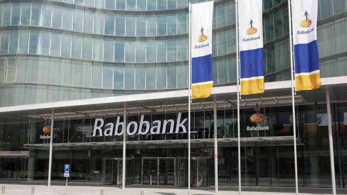 Rabobank Türkiyeyi terk ediyor bakın kim satın alıyor