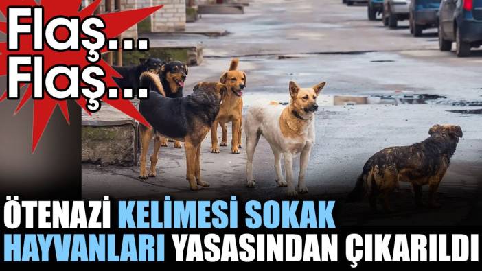 Son dakika... Sokak hayvanları düzenlemesinden 'ötenazi' kelimesi çıkarıldı