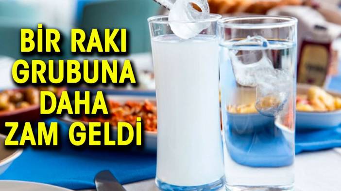 Bir rakı grubuna daha zam geldi