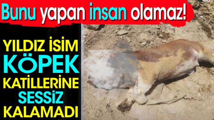 Yıldız isim köpek katillerine sessiz kalamadı. Bunu yapan insan olamaz