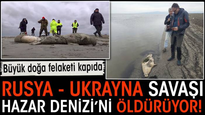 Rusya - Ukrayna Savaşı Hazar Denizi'ni öldürüyor. Büyük doğa felaketi kapıda