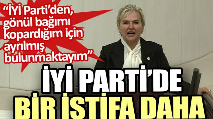 İYİ Parti İstanbul Milletvekili istifa etti