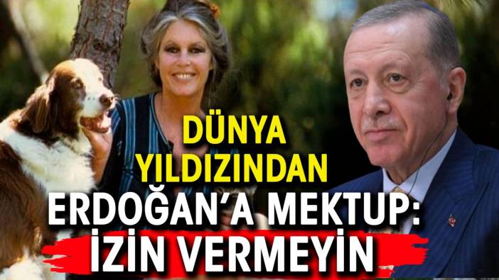 Brigitte Bardot Erdoğan'a mektup yazdı: İzin vermeyin