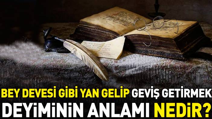 Bey devesi gibi yan gelip geviş getirmek deyimi ne anlama geliyor?