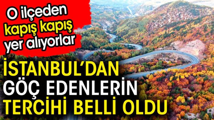 İstanbul'dan göç edenlerin tercihi belli oldu. O ilçeden kapış kapış yer alıyorlar