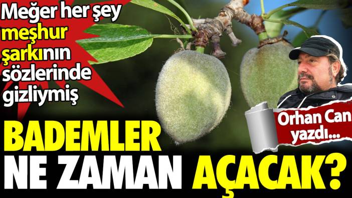 Badem bıyıklılar ne zaman gidecek?