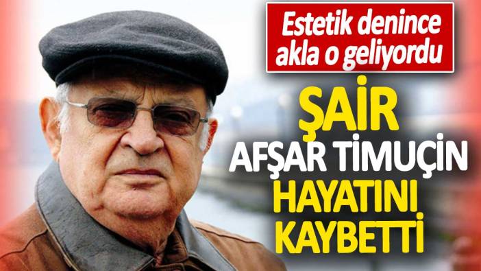 Şair Afşar Timuçin hayatını kaybetti. Estetik denince akla o geliyordu