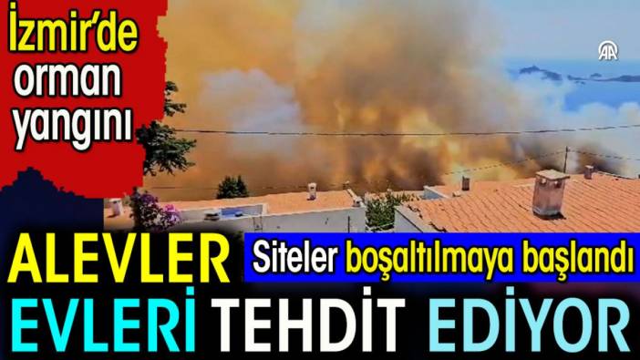 İzmir'de orman yangını. Alevler evleri tehdit etmeye başladı
