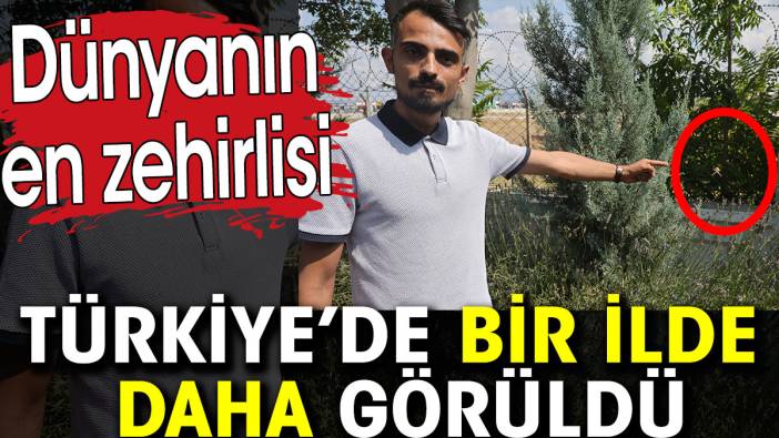 Dünyanın en zehirlisi Türkiye’de bir ilde daha görüldü