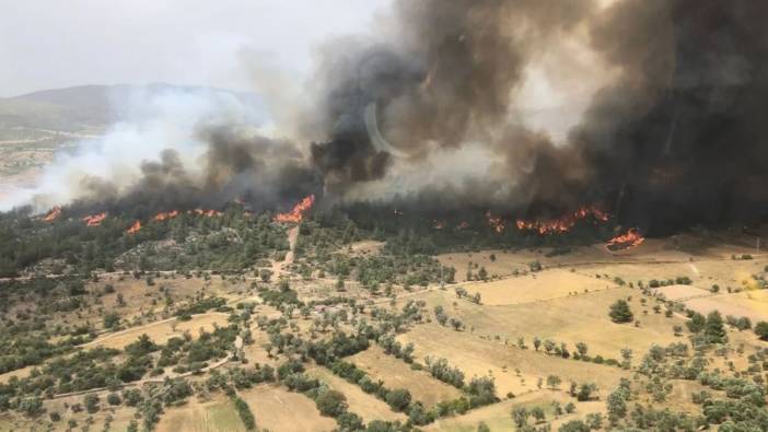 Muğla'da ikinci yangın çıktı