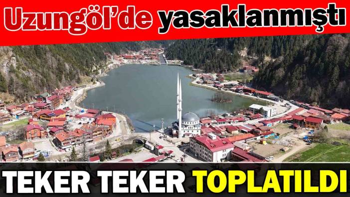 Uzungöl'de hepsi teker teker toplatıldı! Alınan kararla yasaklanmıştı