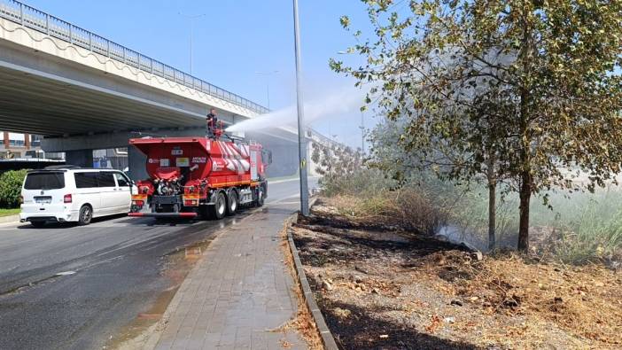 Yol kenarına atılan izmarit yangın çıkardı