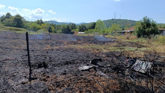 Yalova’da çıkan orman yangınları ile ilgili savcılık harekete geçti