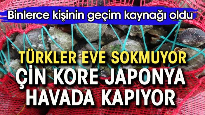 Türkler eve sokmuyor, Çin Kore Japonya havada kapıyor.  Binlerce kişinin geçim kaynağı oldu