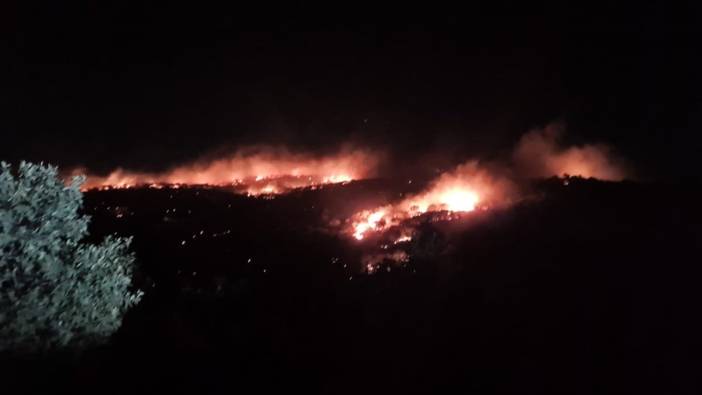 Mardin’de gece saatlerinde korkutan yangın kontrol altına alındı