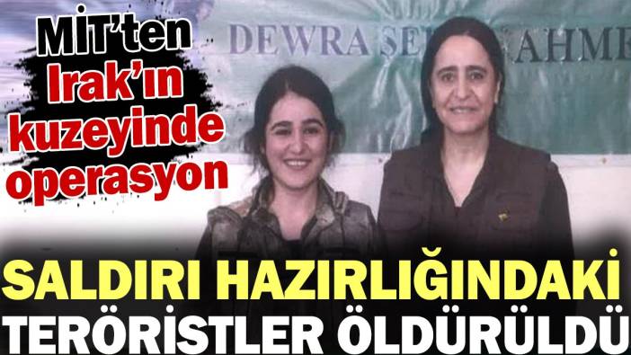 Saldırı hazırlığındaki teröristler öldürüldü! MİT'ten nokta operasyon