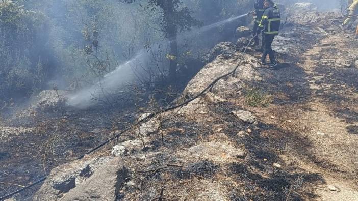 Hatay'da orman yangını