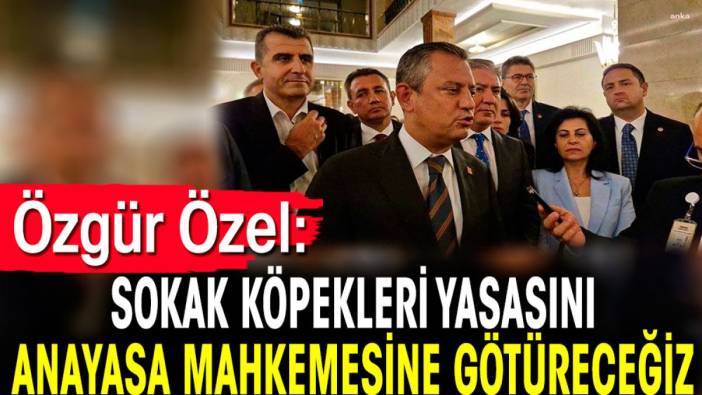 Özgür Özel: Sokak köpekleri yasasını Anayasa Mahkemesine götüreceğiz