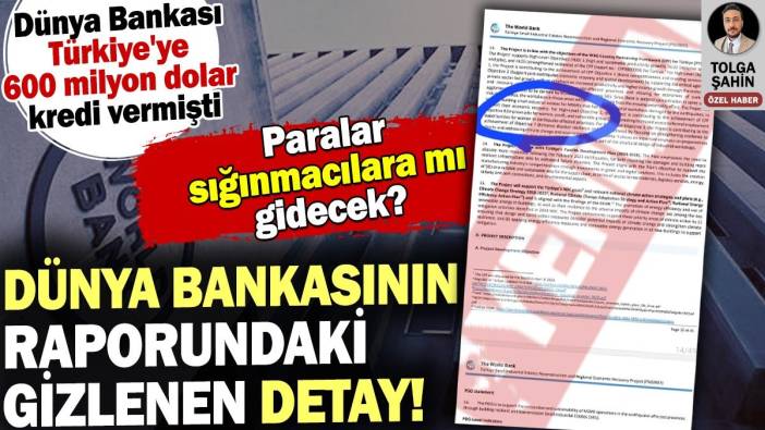 Dünya Bankasının Türkiye’ye verdiği 600 milyon dolarlık kredide gizlenen detay!