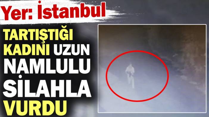 İstanbul'da tartıştığı kadını uzun namlulu silahla vurdu