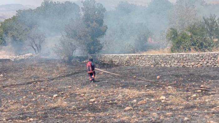 Şırnak'ta örtü yangını çıktı