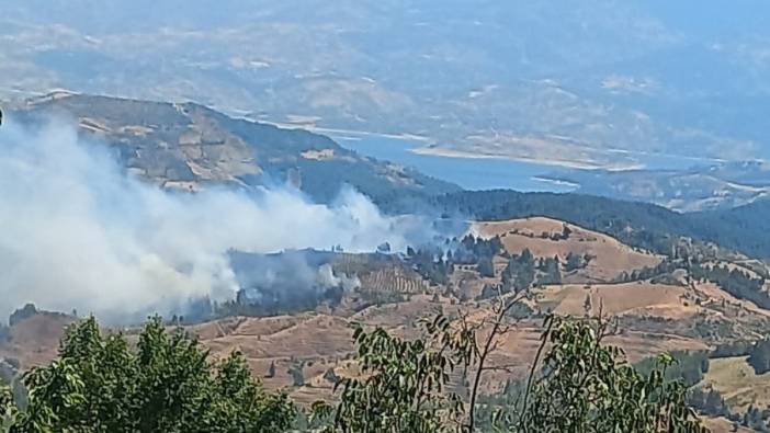 Kahramanmaraş'ta orman yangını