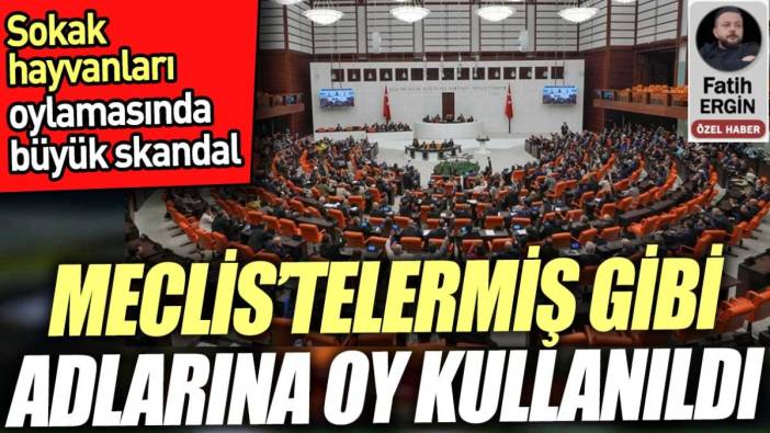 Meclis'telermiş gibi adlarına oy kullanıldı. Sokak hayvanları oylamasında büyük skandal