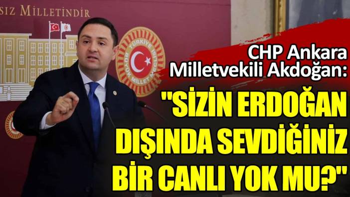 CHP Ankara Milletvekili Akdoğan: "Sizin Erdoğan dışında sevdiğiniz bir canlı yok mu?"