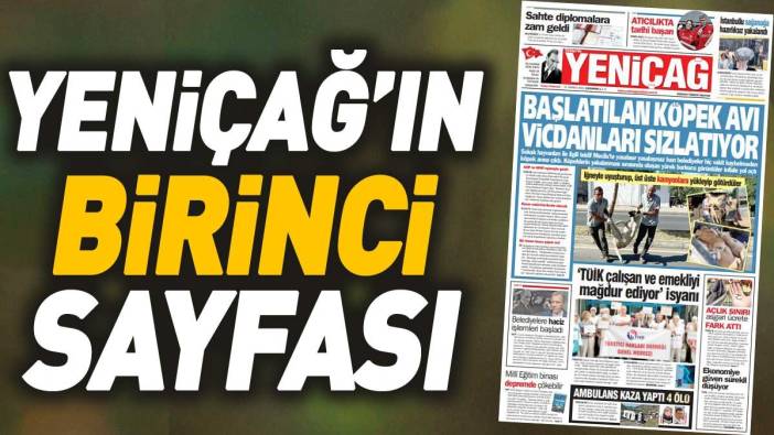 Yeniçağ Gazetesi: Başlatılan köpek avı vicdanları sızlatıyor