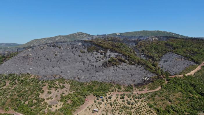 İzmir’deki yangın havadan görüntülendi