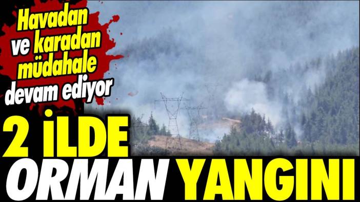 Muğla ve Bursa'da orman yangını! Havadan ve karadan müdahale devam ediyor