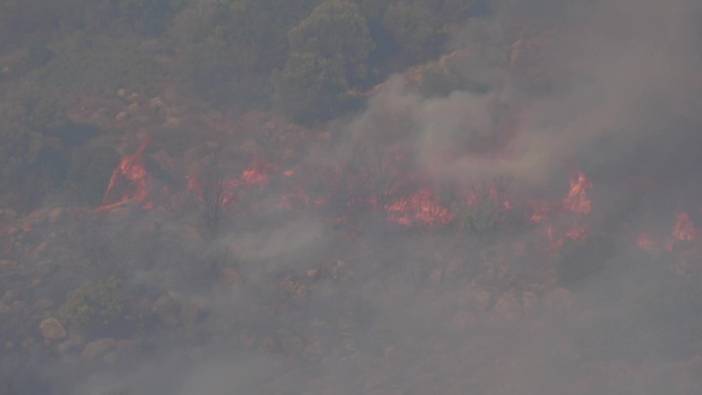 İzmir Urla'daki orman yangını 8 saati aşkın süredir devam ediyor