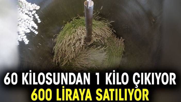 60 kilosundan 1 kilo çıkıyor 600 liraya satılıyor