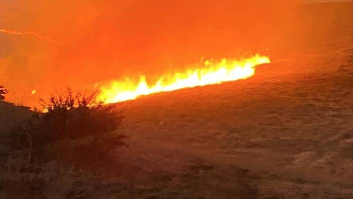 Malatya'da yüzlerce dönümde yangın