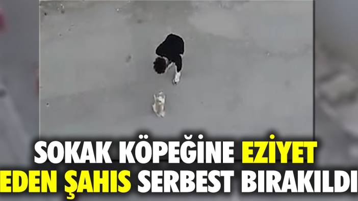 Sokak köpeğine eziyet eden şahıs serbest bırakıldı