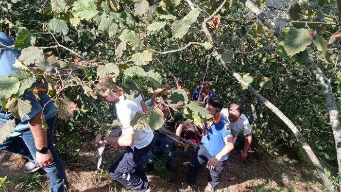 Giresun’da fındık toplarken dereye yuvarlanan kadın hayatını kaybetti