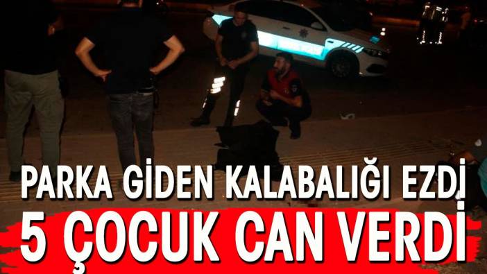 Parka giden kalabalığı ezdi. 5 çocuk can verdi