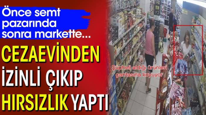 Cezaevinden izinli olarak çıkıp hırsızlık yaptı