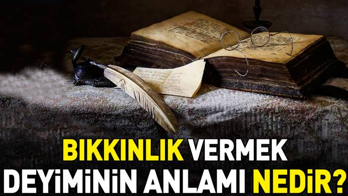 Bıkkınlık vermek deyimi ne anlama geliyor?